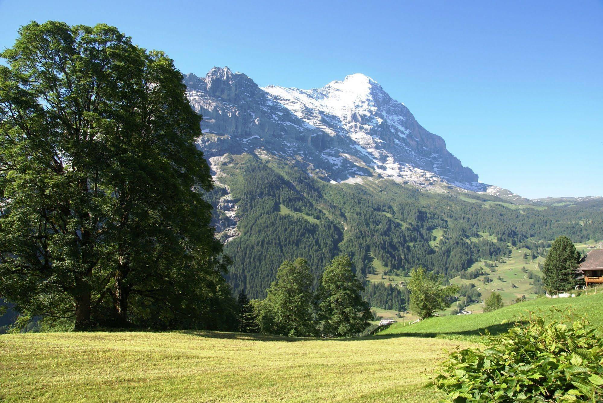 Apartment Nussbaum - Griwa Rent Ag Grindelwald Zewnętrze zdjęcie