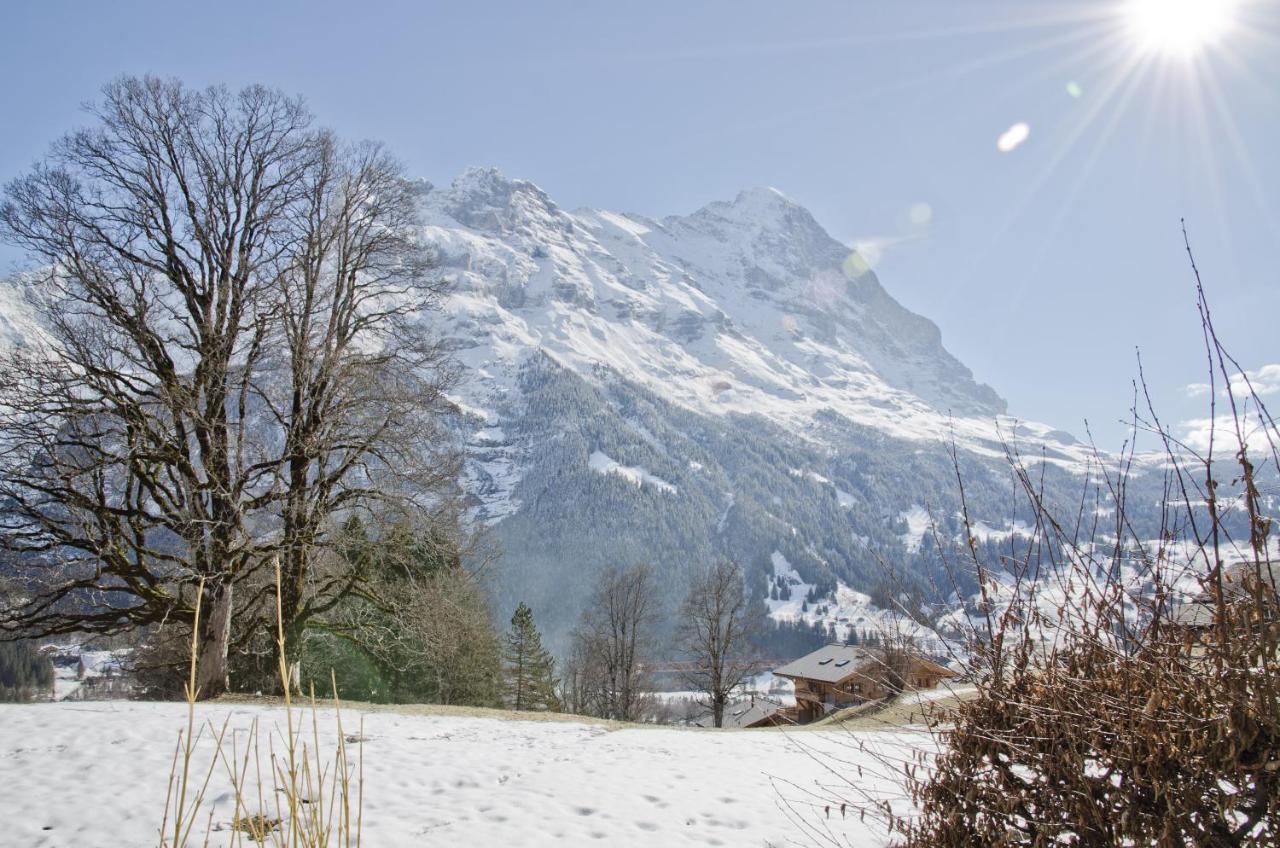 Apartment Nussbaum - Griwa Rent Ag Grindelwald Zewnętrze zdjęcie